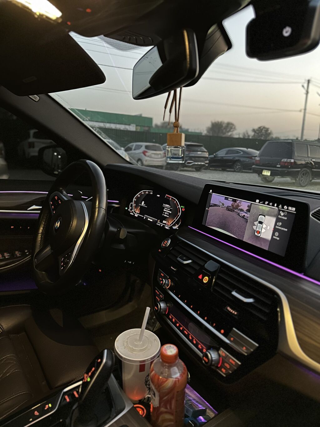 BMW 5 series: 2019 г., 2 л, Автомат, Бензин, Седан: фото 6