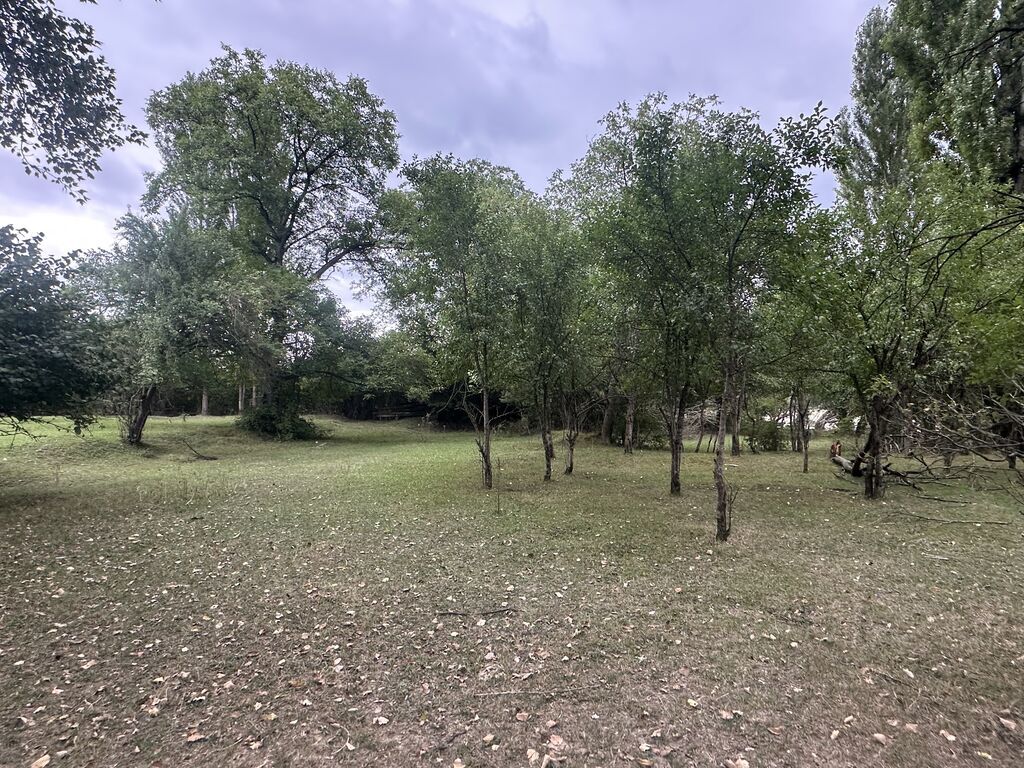 28 sot, Biznes üçün, Mülkiyyətçi, Kupça (Çıxarış)