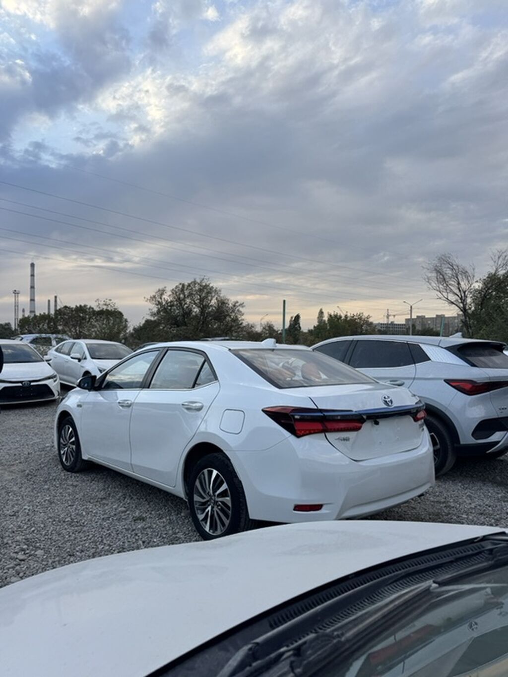 Toyota Levin: 2019 г., 1.8 л, Автомат, Гибрид, Седан: фото 4
