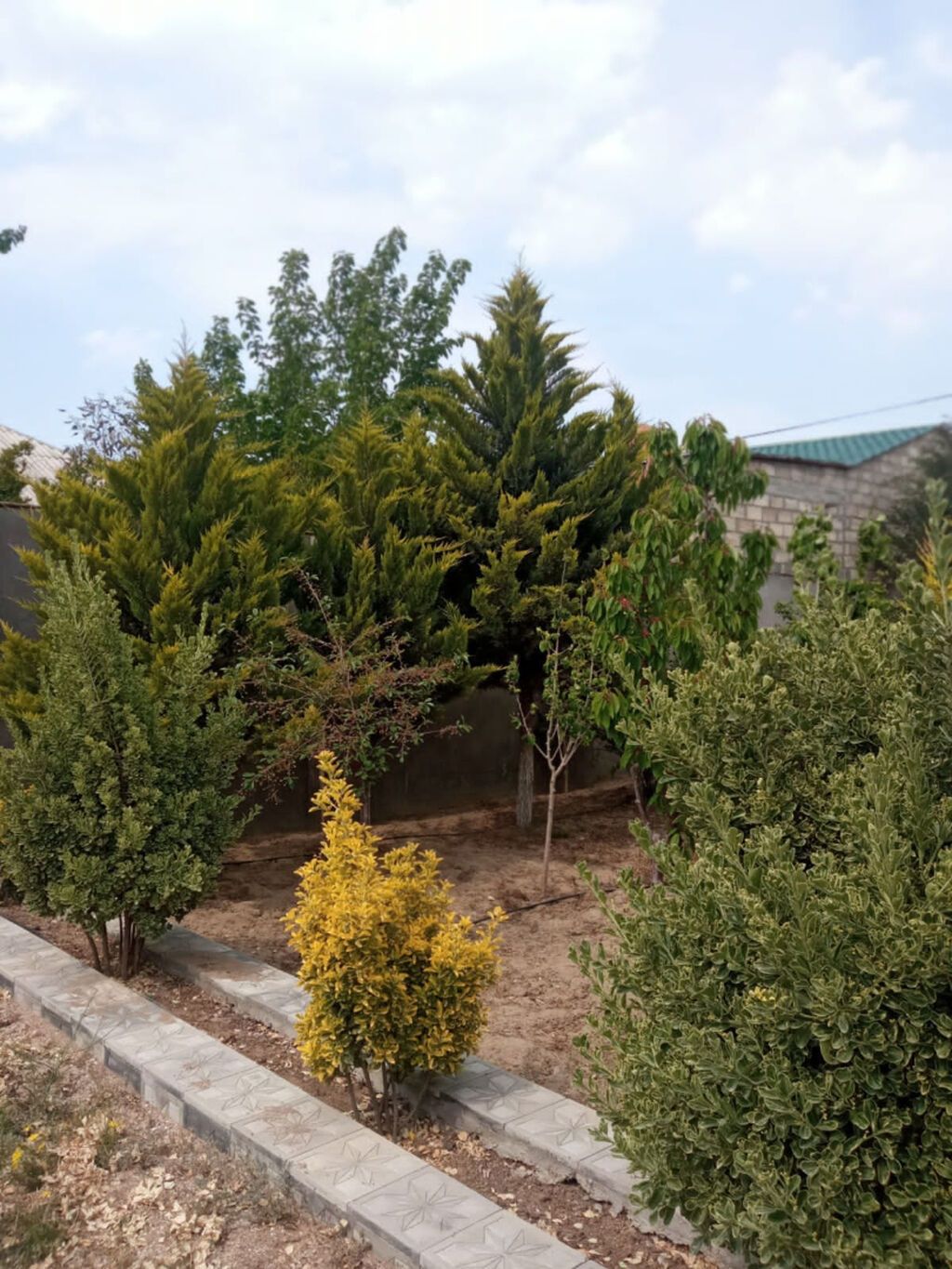 Sabunçuda 5 otaqlı həyət evi kirayə verilir, 210 m², 2 500 AZN/ay, şəkil 3 / 12