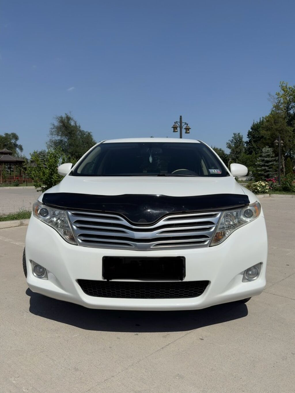 Toyota Venza: 2009 г.: фото 2