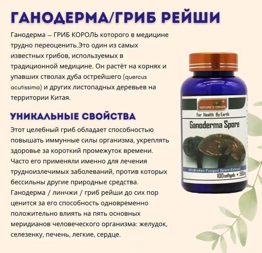 Споры гриба Линчжи в капсулах от Nature's Origin Гриб Линчжи, также: фото 3