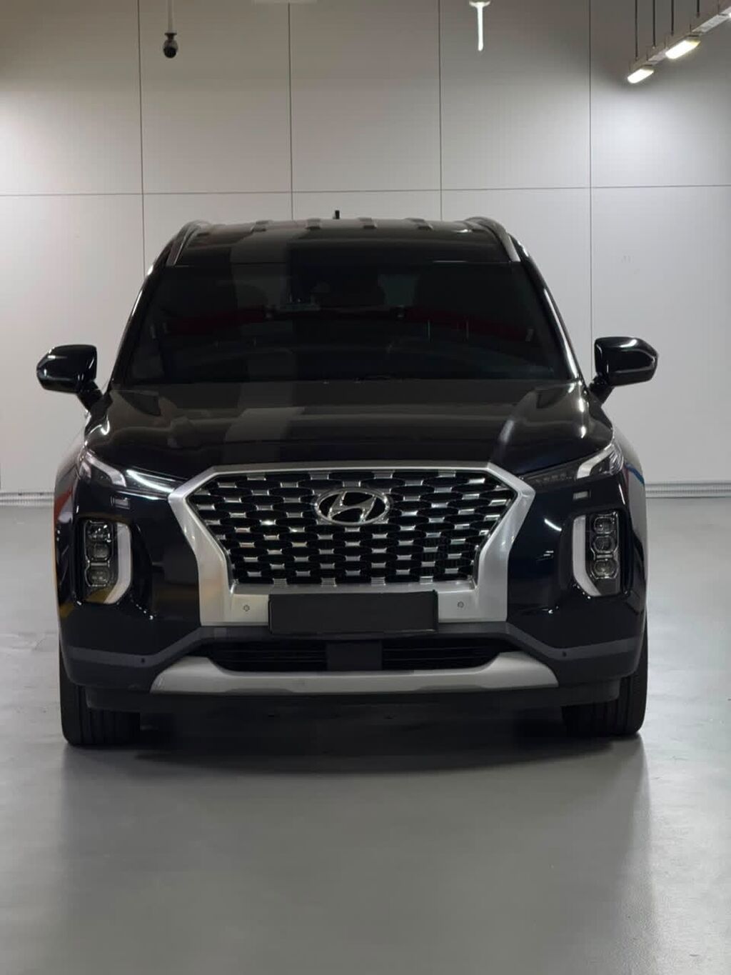 Hyundai Palisade: 2019 г., 2.2 л, Автомат, Дизель, Кроссовер: фото 2