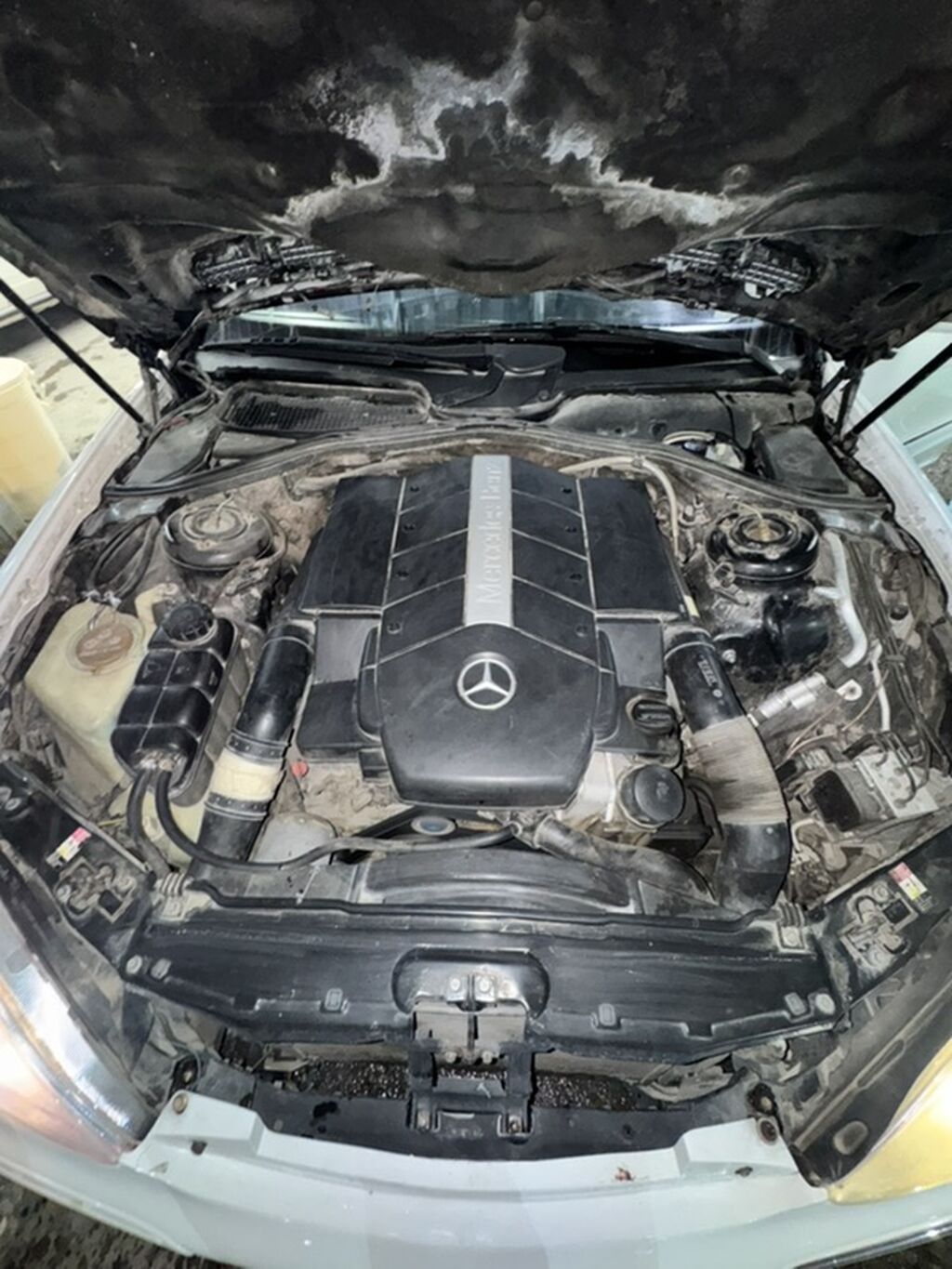 Mercedes-Benz S-Class: 2000 г., 5 л, Автомат, Бензин, Седан: фото 8