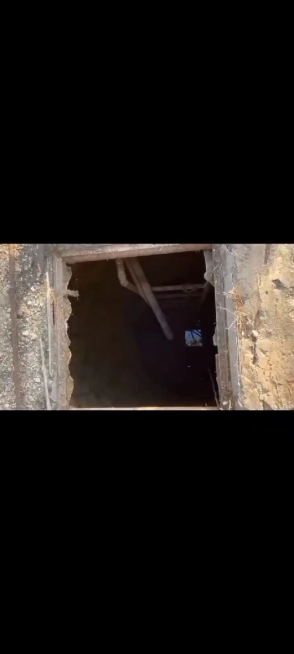 Tikinti