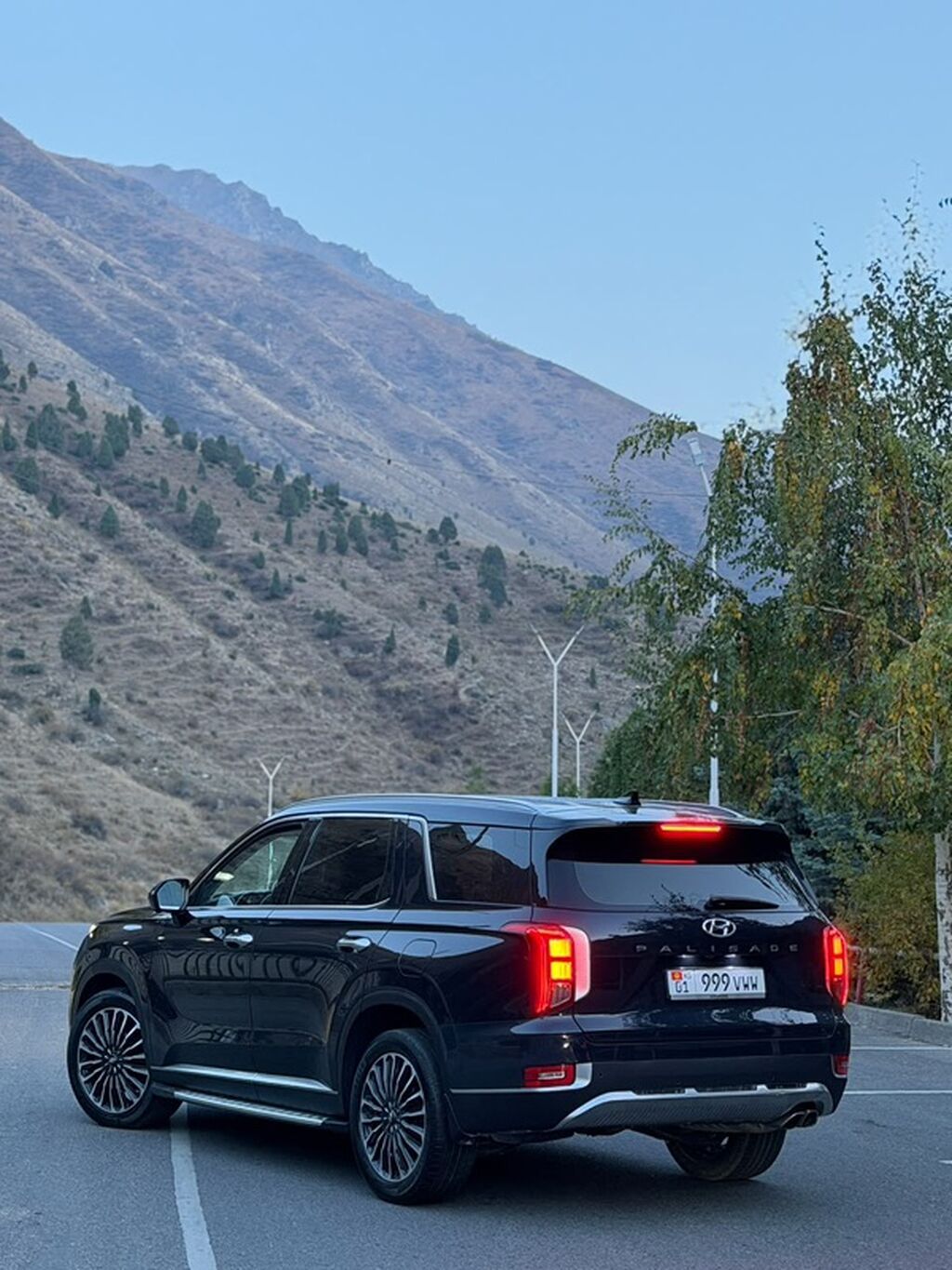 Hyundai Palisade: 2019 г., 2.2 л, Автомат, Дизель, Кроссовер: фото 3