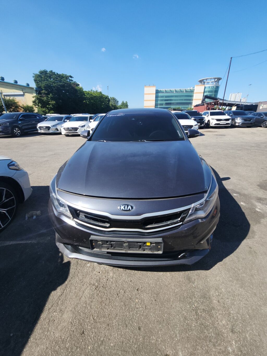 Kia K5: 2019 г., 2 л, Автомат, Гибрид, Седан — фото 7
