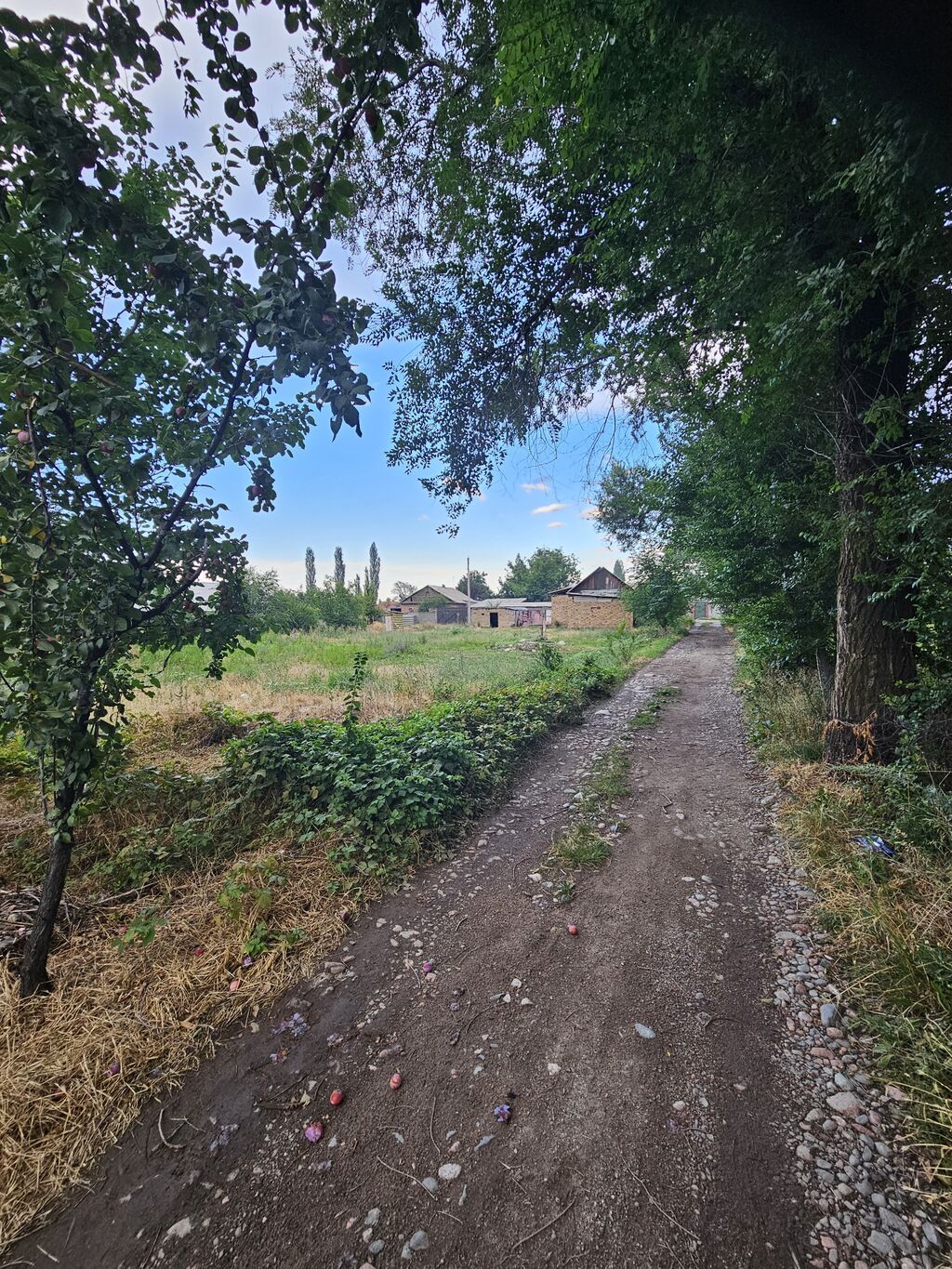 5 соток, Для сельского хозяйства, Красная книга: фото 2