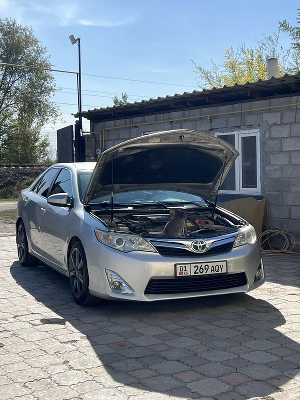 Toyota Camry: 2012 г., 2.5 л, Автомат, Бензин, Седан: фото 5