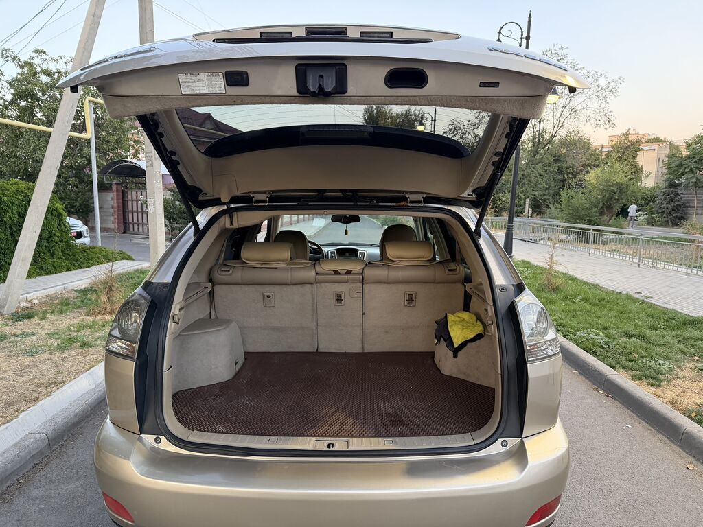 Lexus RX: 2004 г., 3.3 л, Автомат, Бензин, Кроссовер: фото 7