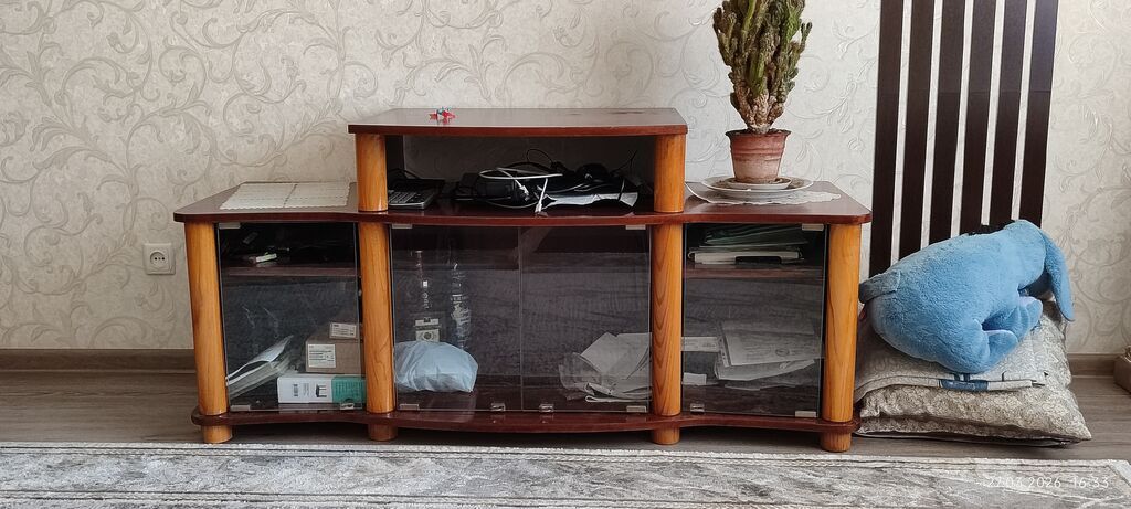 Продам кактус Цереус — фото 4