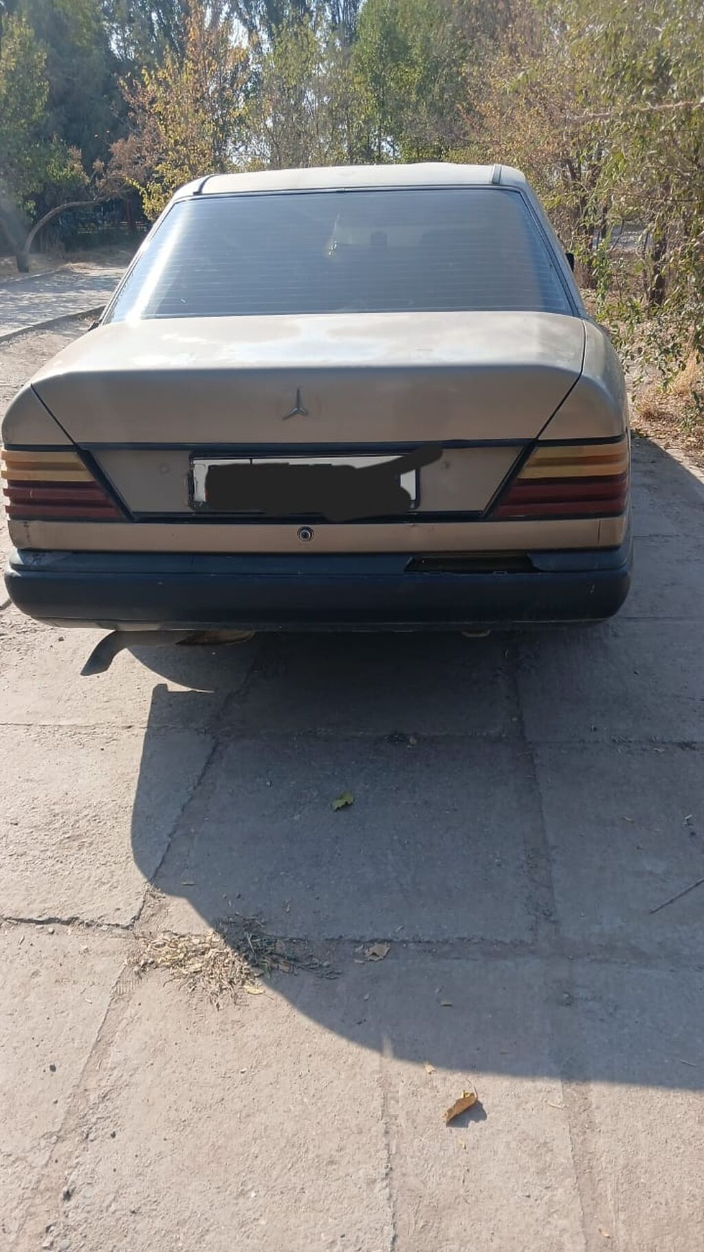 Mercedes-Benz W124: 1987 г., 2.8 л, Механика, Газ, Седан: фото 2