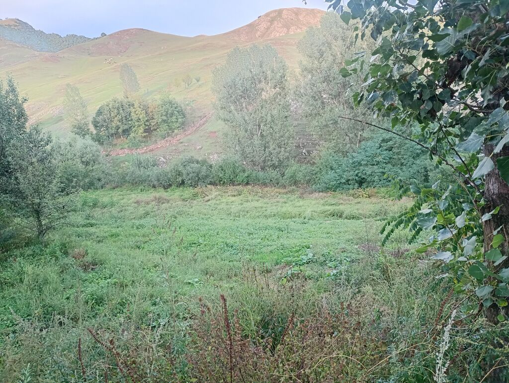 Gədəbəy, 120 kv. m, 4 otaqlı, Hovuzsuz, Qaz, Su, Kanalizasiya