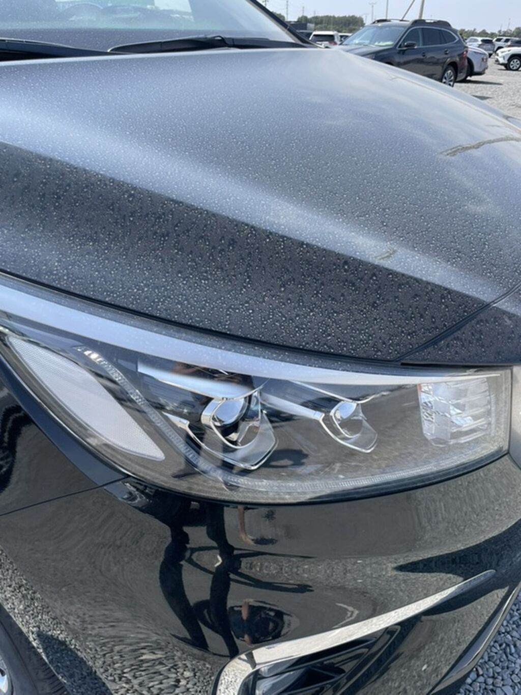Kia Carnival: 2019 г., 2.2 л, Автомат, Дизель, Минивэн: фото 3