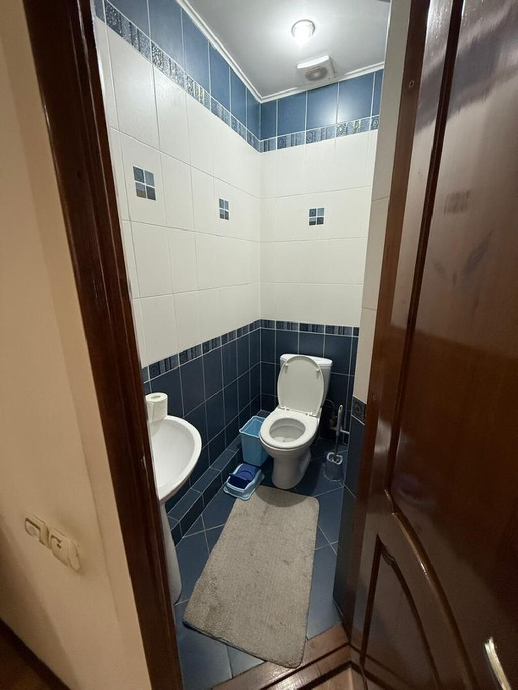 250 м², 5 комнат: фото 2