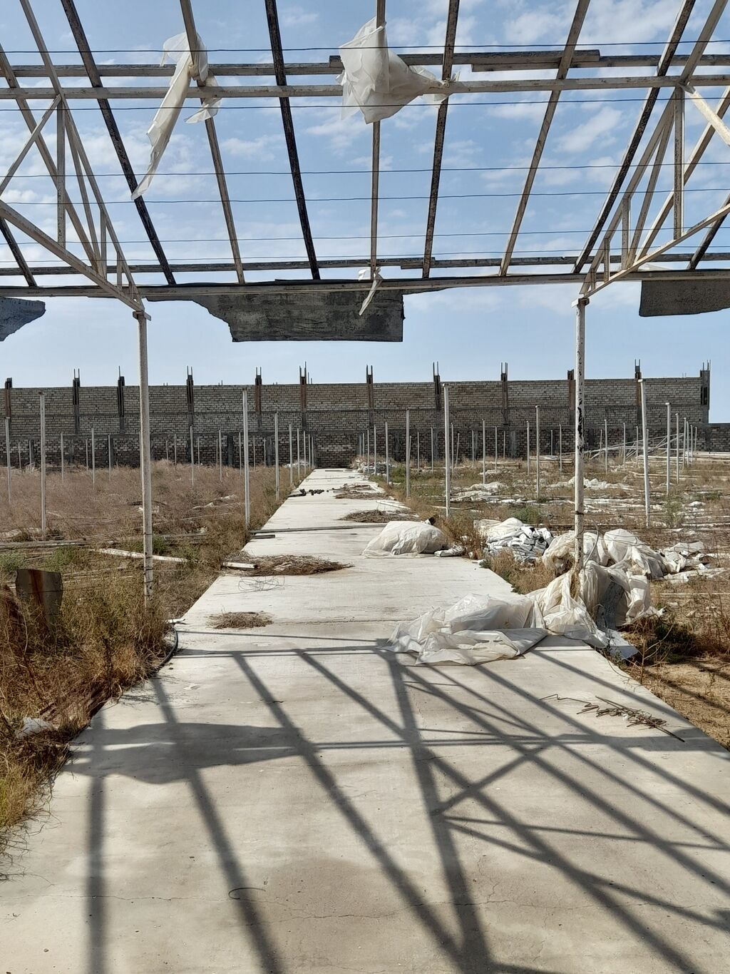 135 sot, Biznes üçün, Kupça (Çıxarış)