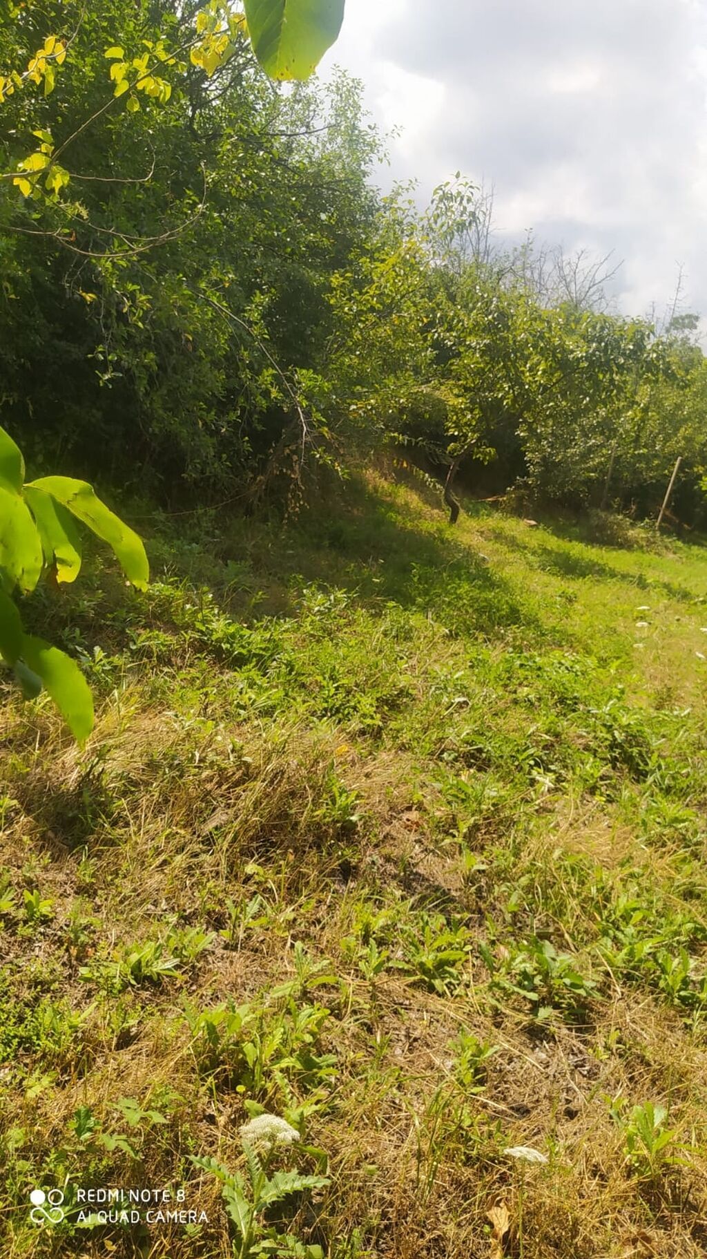 Gəncə, 4 kv. m, 1 otaqlı, Hovuzsuz, Su