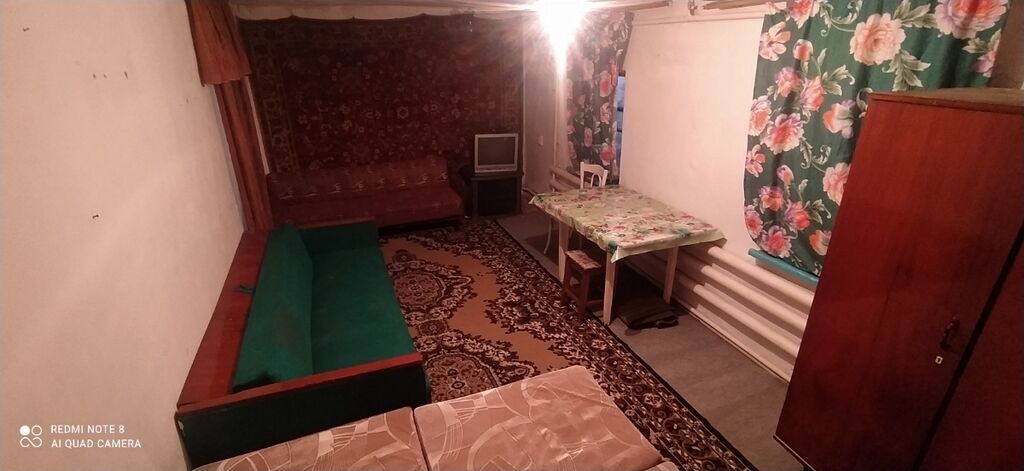 45 м², 1 комната, 1000 мелочей (Карпинка): фото 2