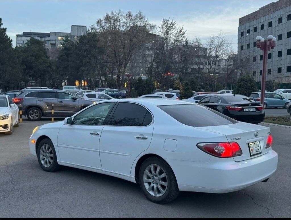 Lexus ES: 2003 г., Автомат, Бензин, Седан: фото 6