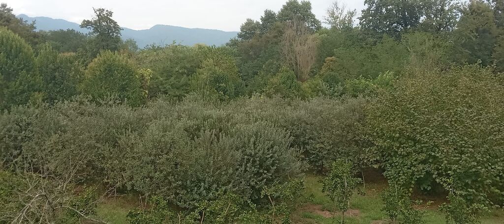3 otaqlı, 100 kv. m, Kredit yoxdur, Orta təmir