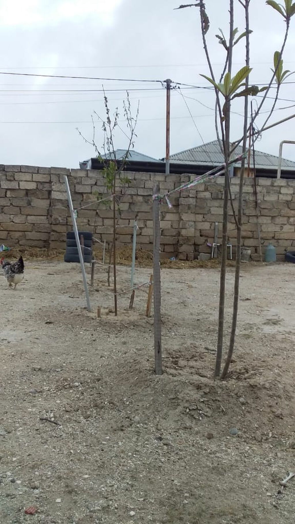 70 kv. m, 2 otaqlı