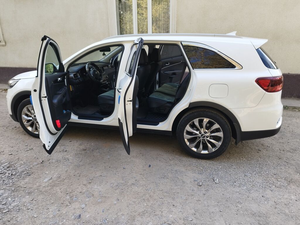 Kia Sorento: 2019 г., 0.2 л, Автомат, Дизель, Кроссовер: фото 7