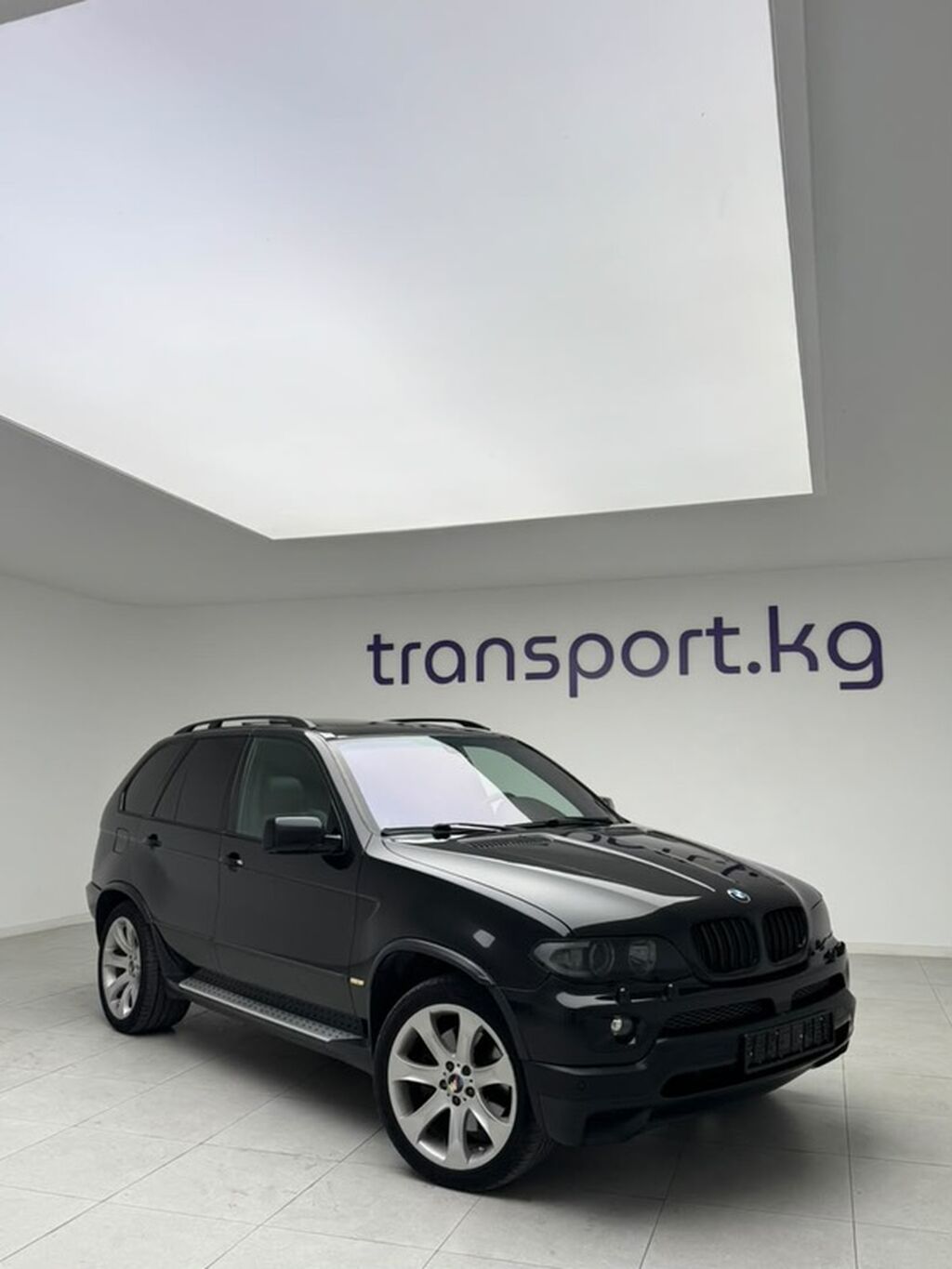 BMW X5: 2005 г., 4.8 л, Автомат, Бензин, Кроссовер: фото 1