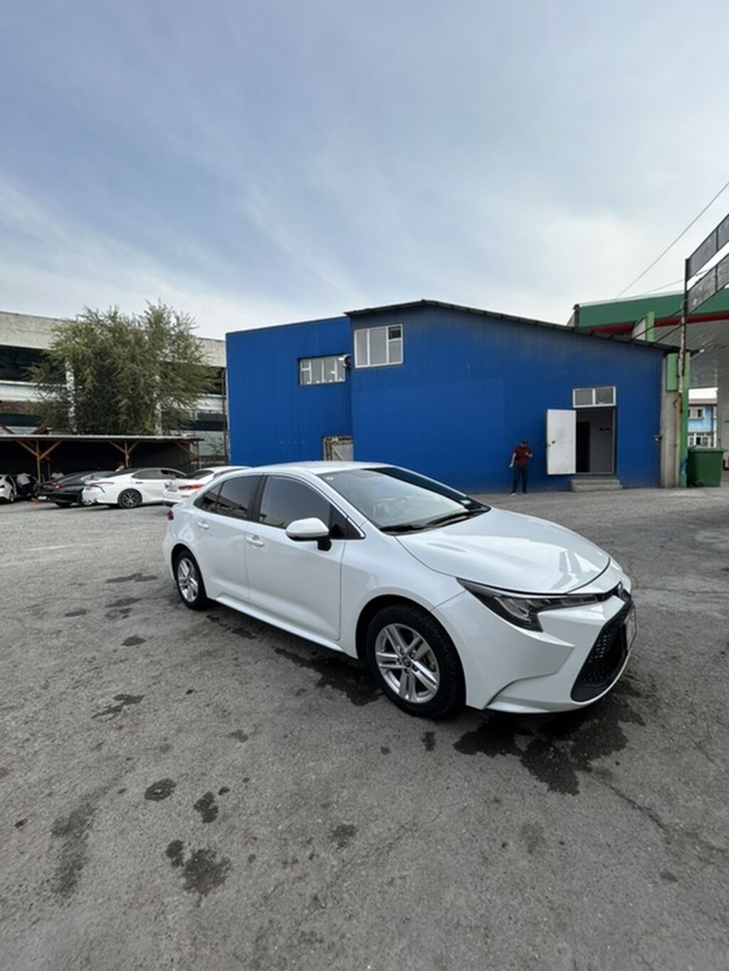 Toyota Corolla: 2020 г., 1.8 л, Автомат, Гибрид, Седан: фото 6