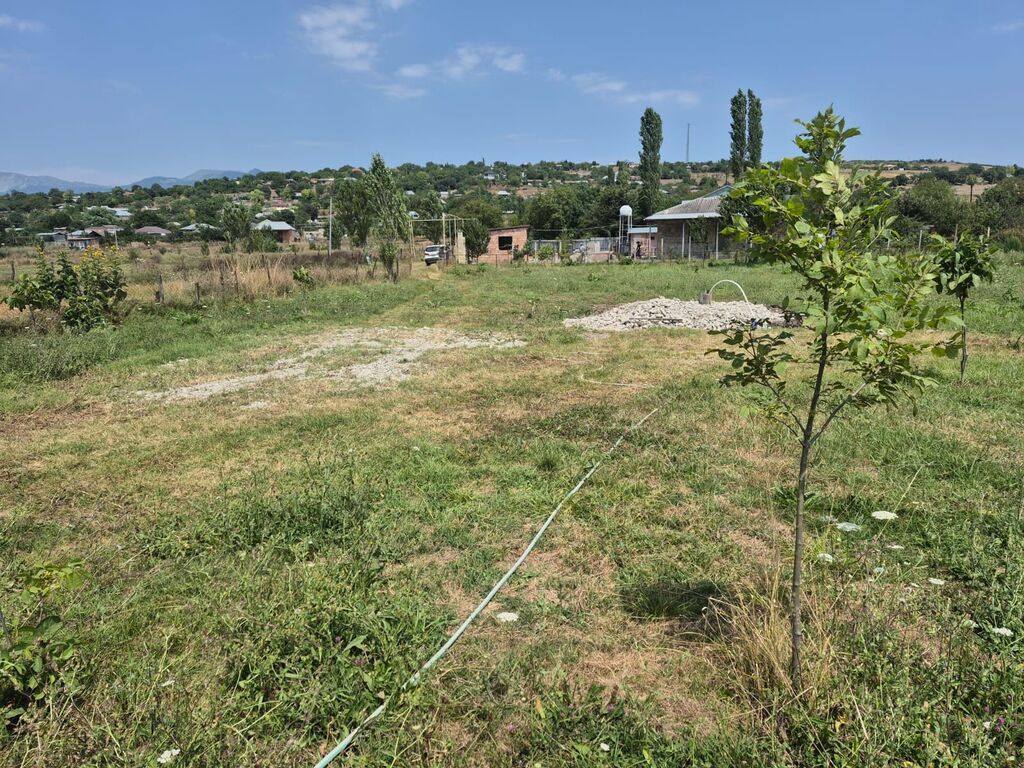 25 sot, Tikinti, Mülkiyyətçi, Kupça (Çıxarış)