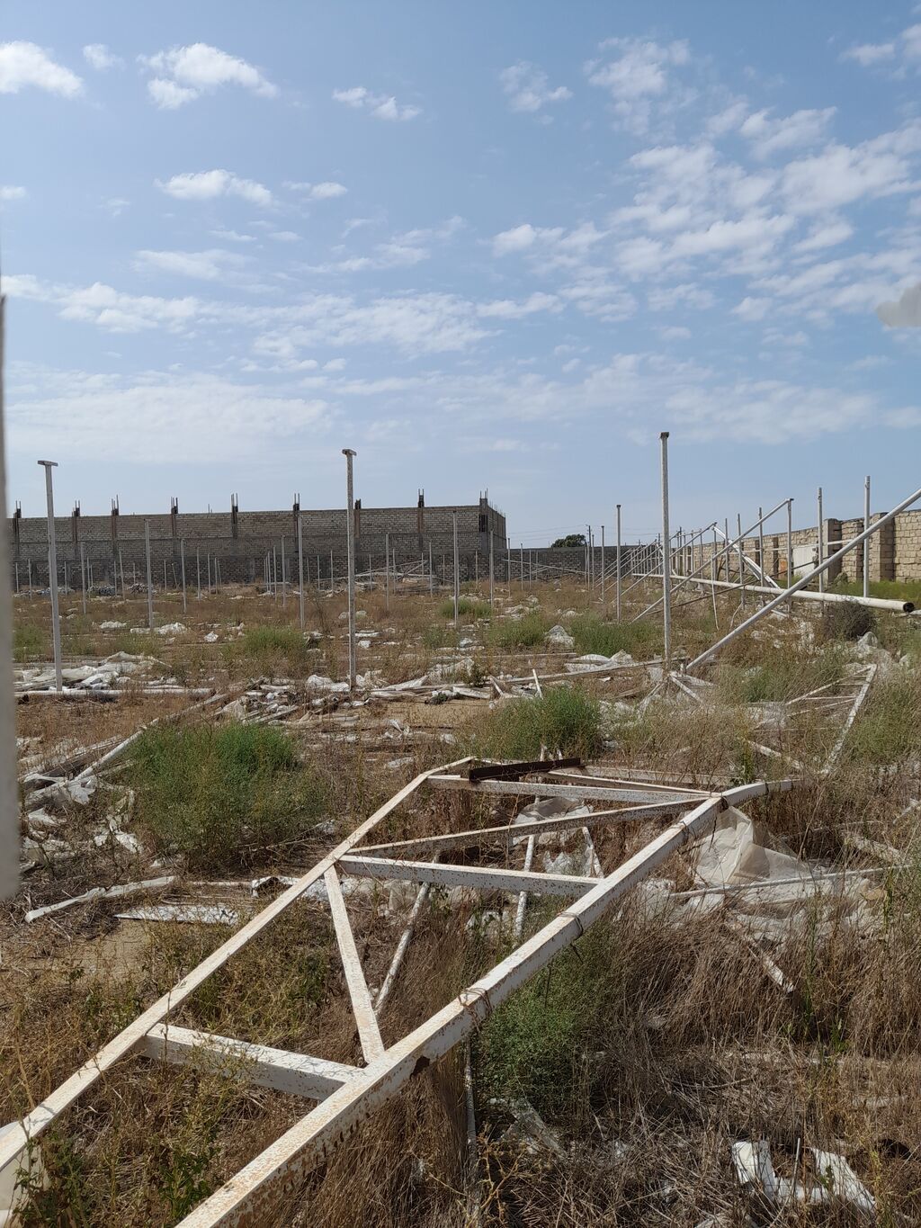 135 sot, Biznes üçün, Kupça (Çıxarış)