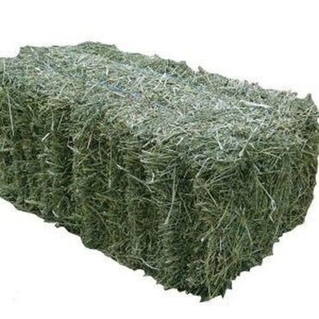 Купить Сено В Яшкинский Район