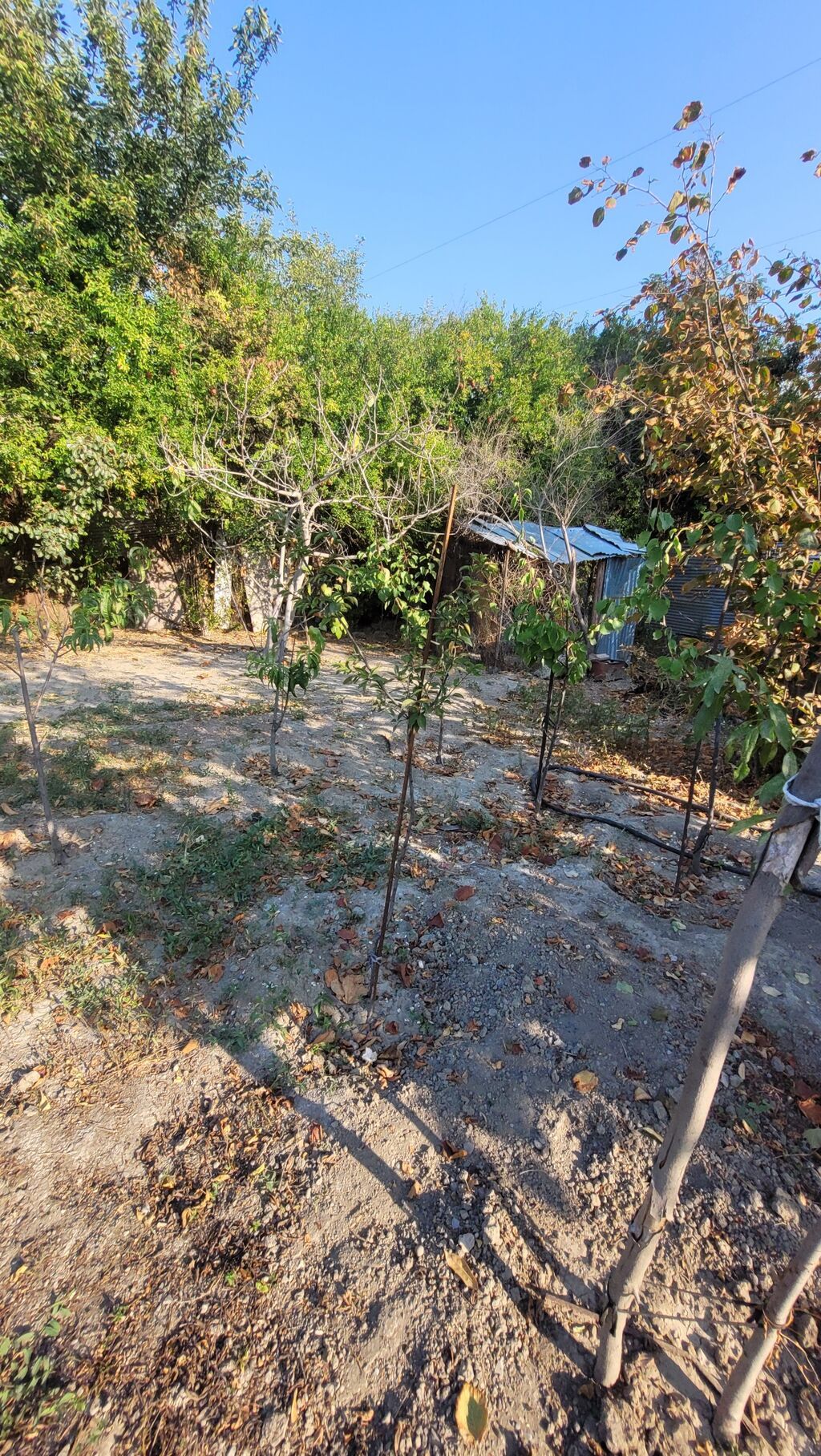 Mingəçevir, 85 kv. m, 3 otaqlı