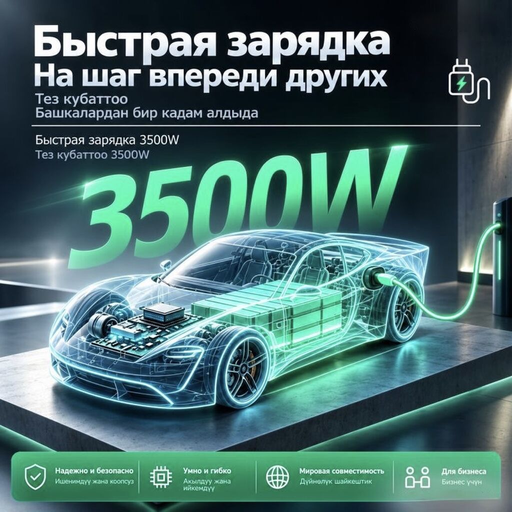 Зарядное устройство для китайских электромобилей, сумка в комплекте: фото 2