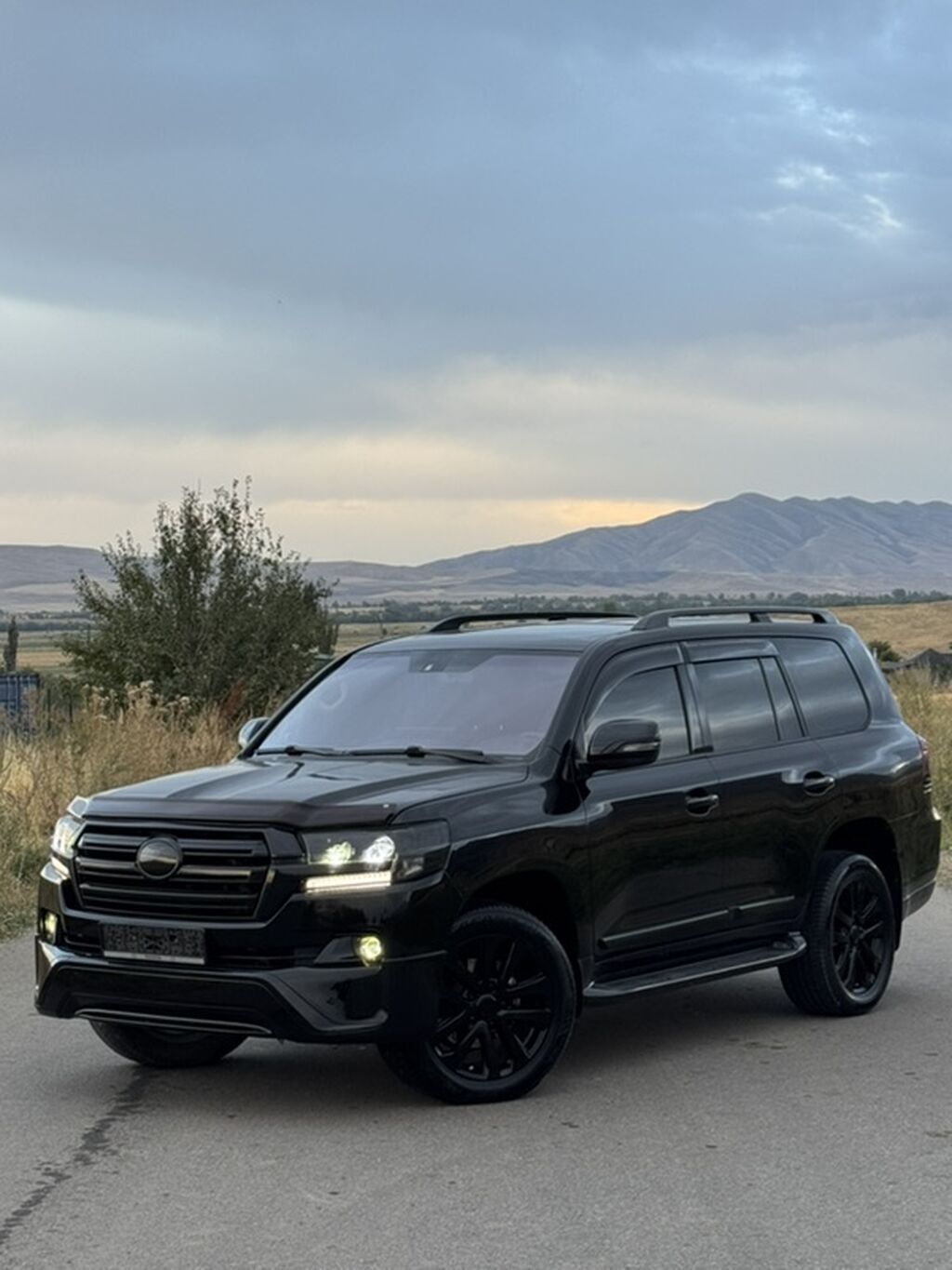 Toyota Land Cruiser: 2008 г., 4.7 л, Газ: фото 5