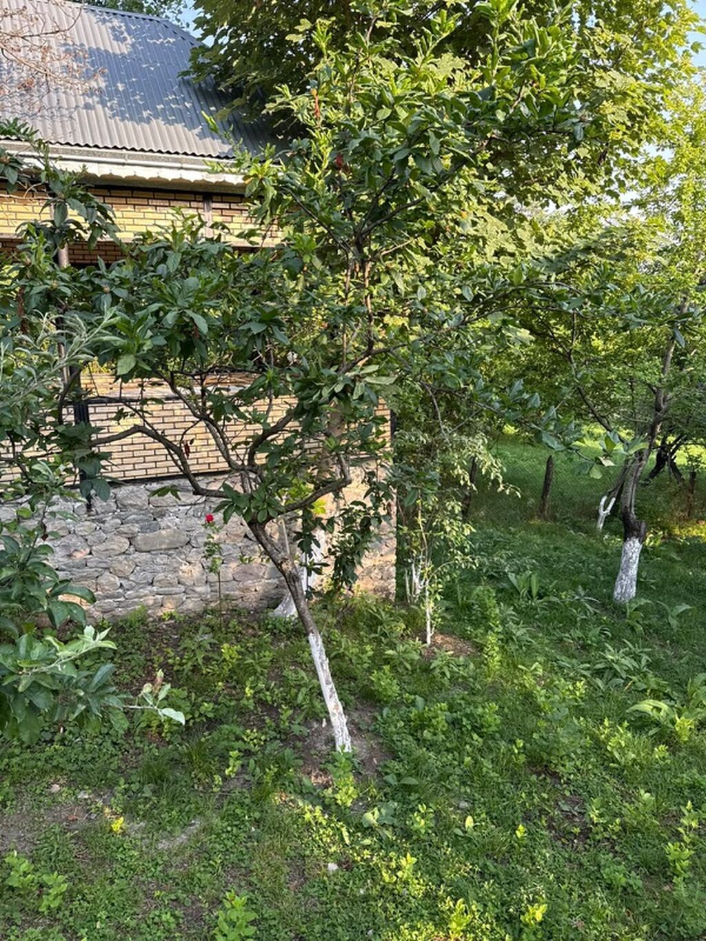 İsmayıllı, Xanagah kəndində hovuzlu 3 otaqlı günlük ev kirayə verilir