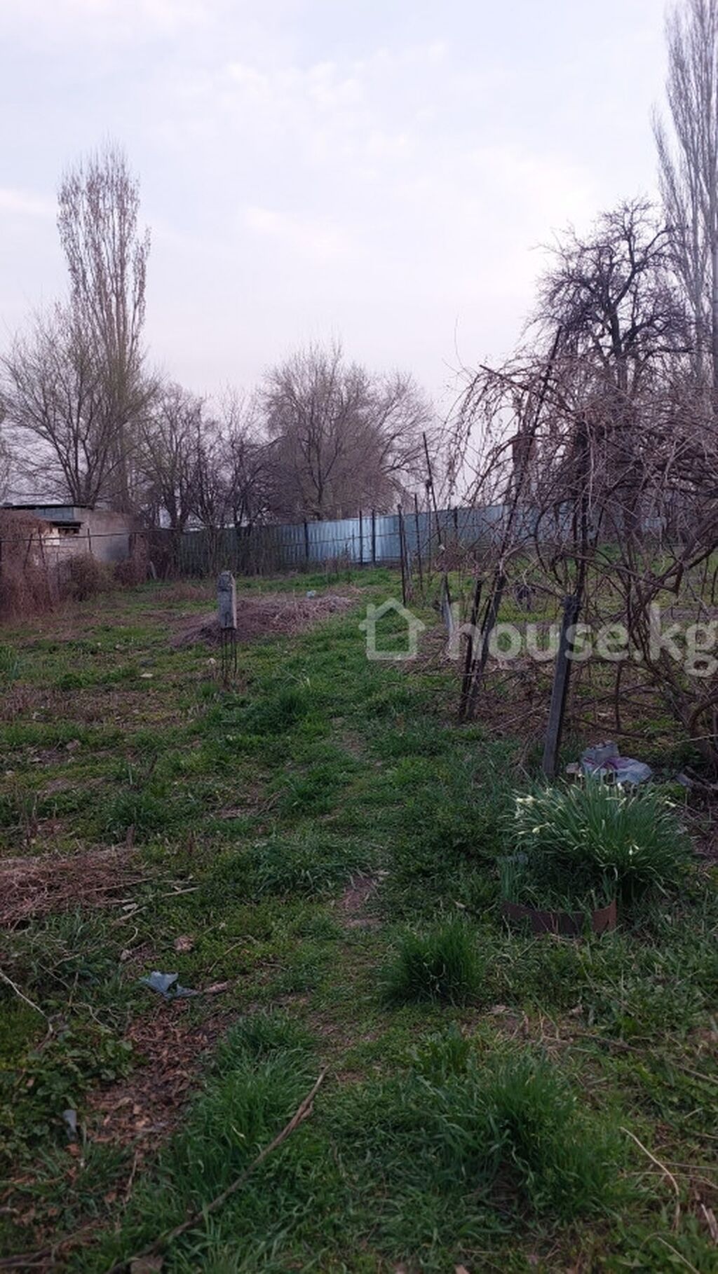 3 комнаты, 41 м², 12 соток, Бишкек, Собственник: фото 2