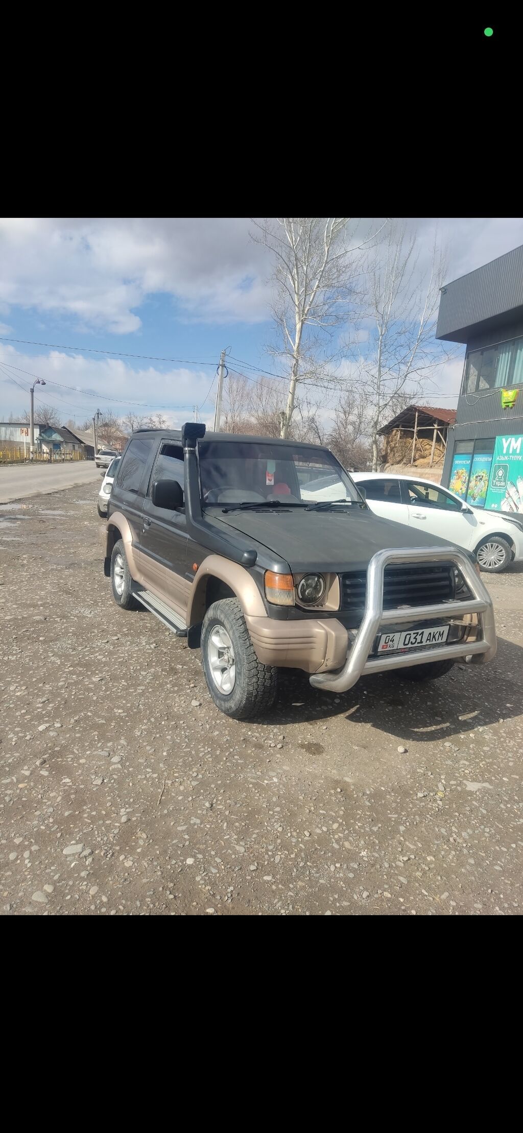 Mitsubishi Pajero: 1993 г., 2.5 л, Автомат, Дизель, Внедорожник: фото 2
