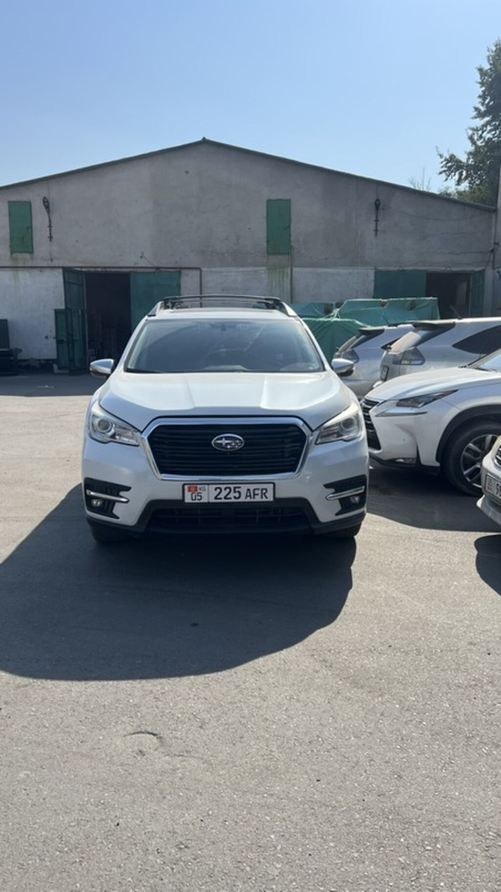 Subaru Ascent: 2019 г., 2.4 л, Вариатор, Бензин, Кроссовер: фото 1
