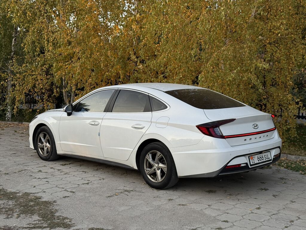 Hyundai Sonata: 2019 г., 2 л, Автомат, Газ, Седан: фото 6