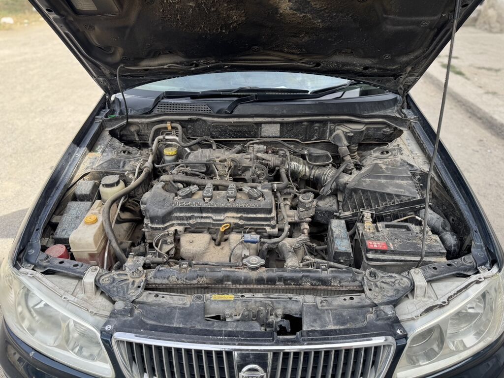Nissan Sylphy: 2005 г., 1.8 л, Автомат, Бензин, Седан: фото 6