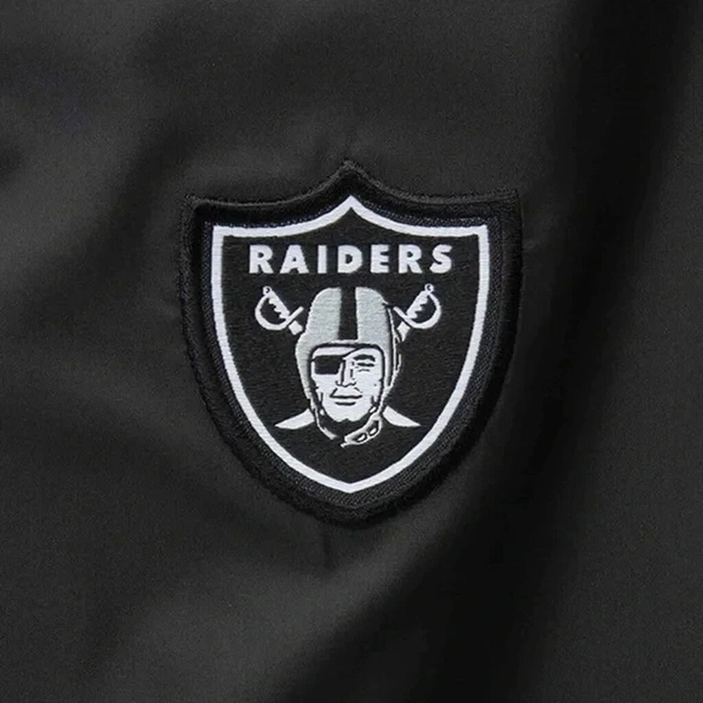 Эмблема Oakland Raiders Nike. Поло Print Bar Oakland Raiders купить в Краснодаре.