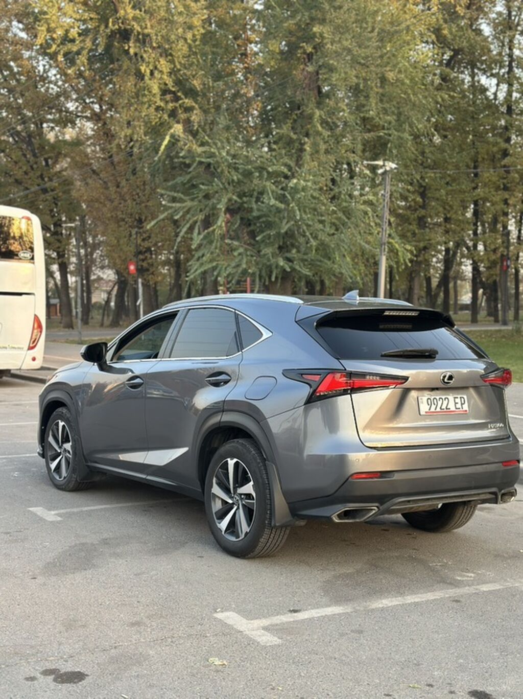 Lexus NX: 2020 г., 2 л, Автомат, Бензин, Кроссовер: фото 3