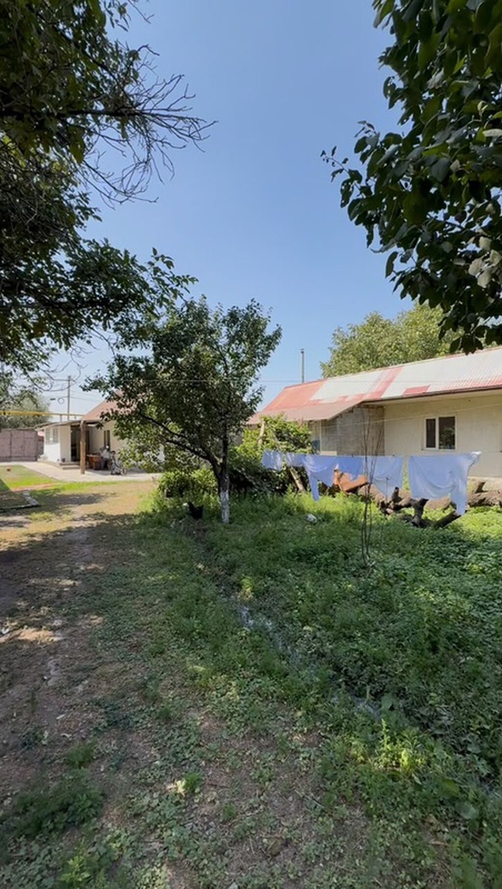 9 соток, Красная книга, Тех паспорт, Договор купли-продажи: фото 4