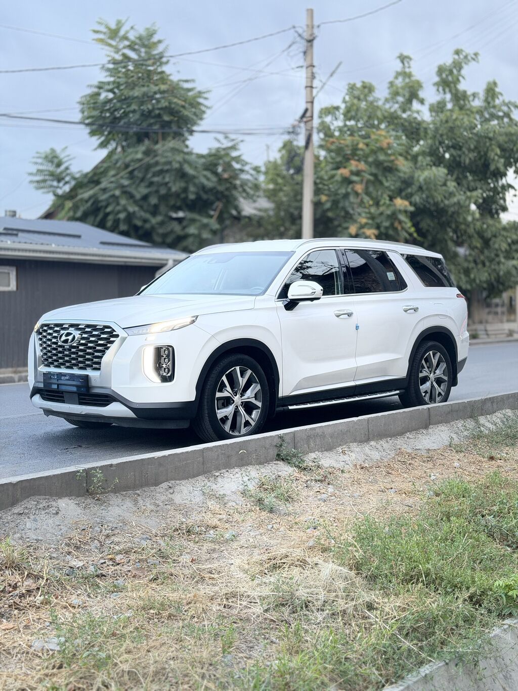 Hyundai Palisade: 2020 г., 2.2 л, Автомат, Дизель, Кроссовер: фото 4