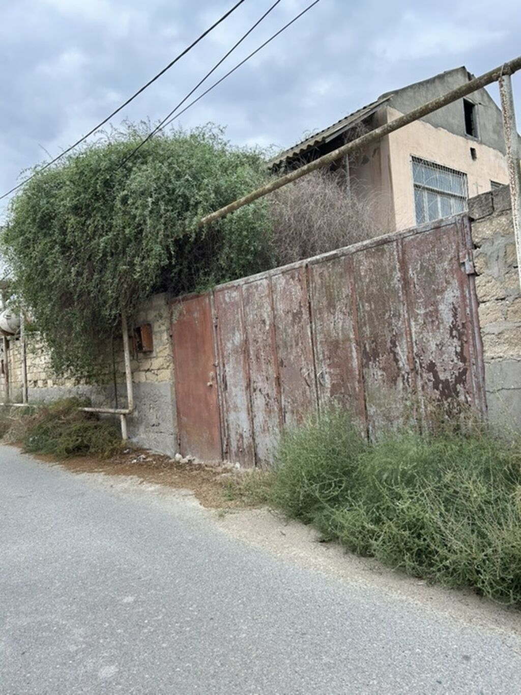 Tikinti