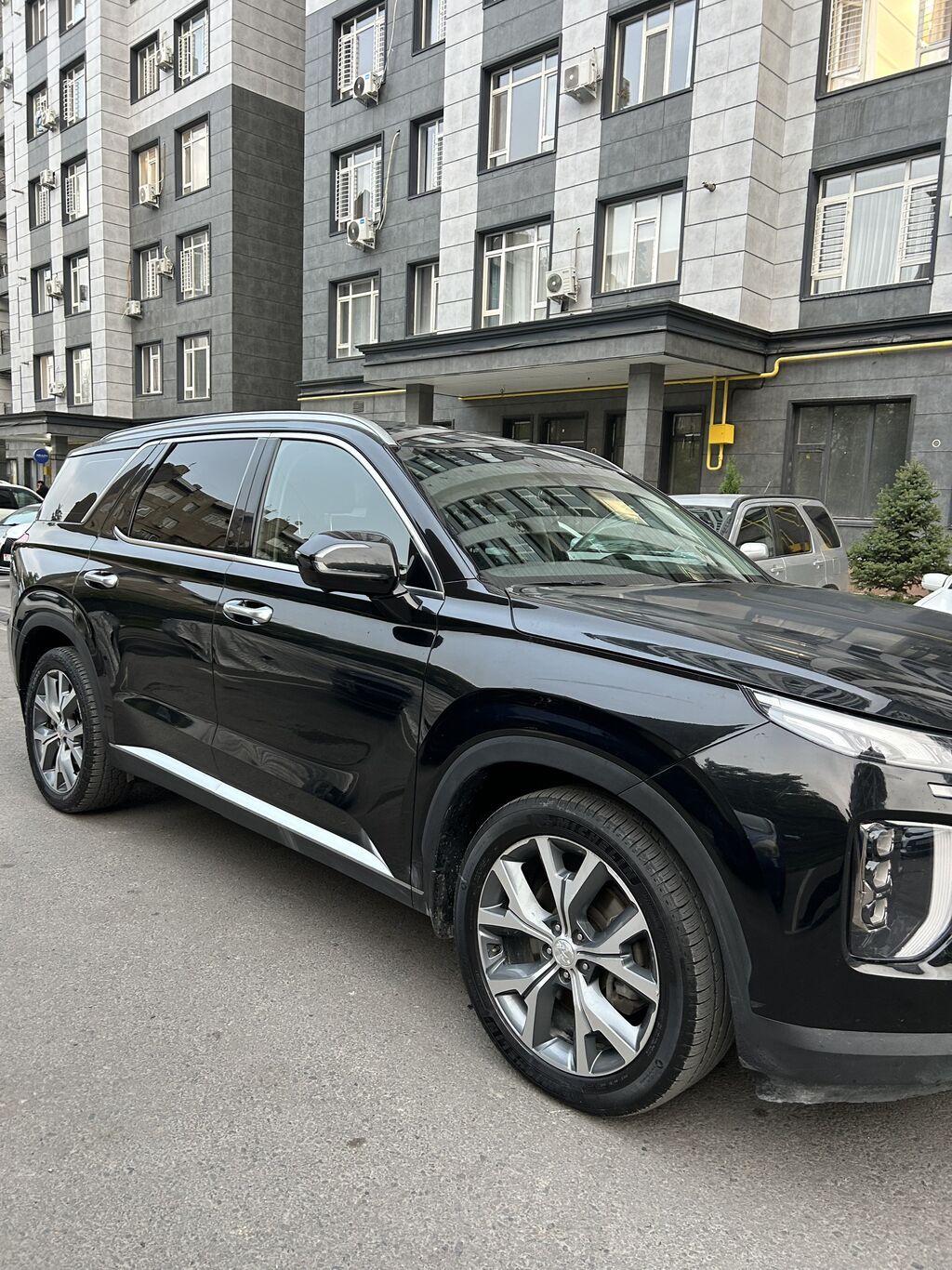 Hyundai Palisade: 2020 г., Автомат, Дизель, Кроссовер: фото 3