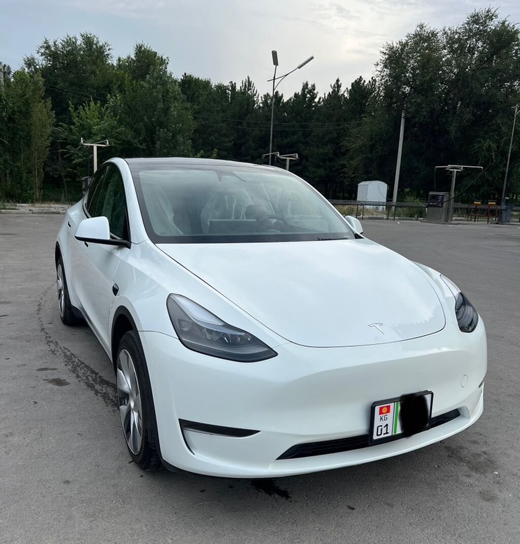 Tesla Model Y: 2024 г., Электромобиль, Кроссовер: фото 3
