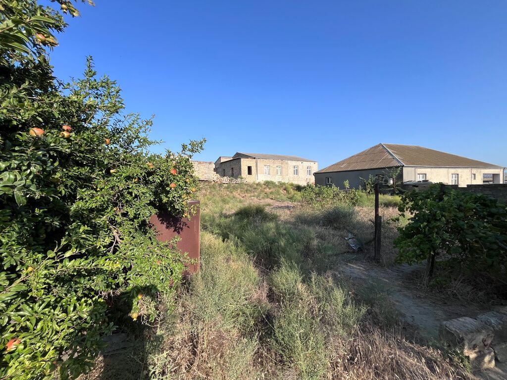 4 sot, Tikinti, Kupça (Çıxarış)