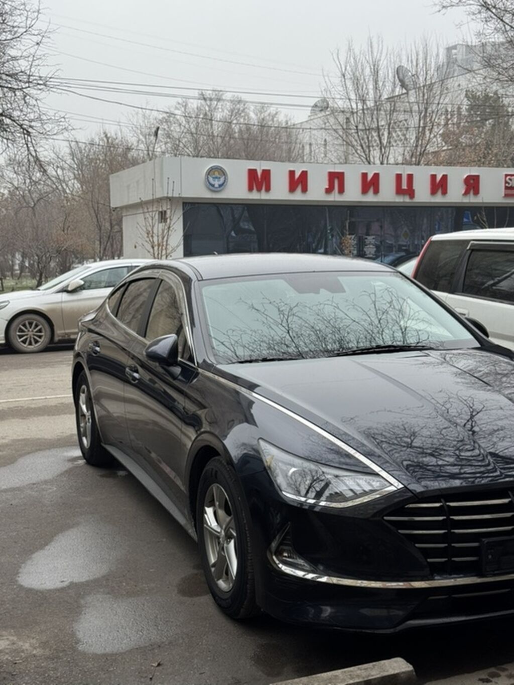 Hyundai Sonata: 2021 г., 2 л, Автомат, Газ, Седан: фото 2