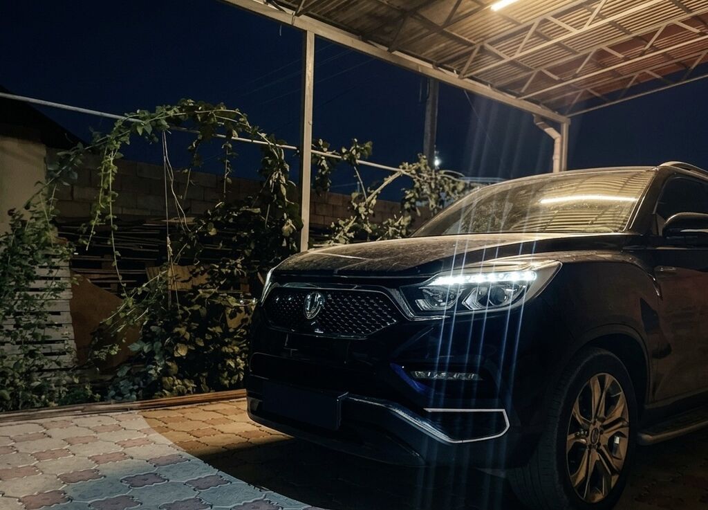 Ssangyong Rexton: 2019 г., 2.2 л, Автомат, Дизель, Внедорожник: фото 3